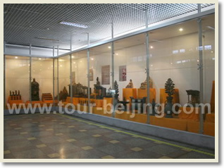 Beijing Xian Luoyang Shanghai 10 Day Train Tour